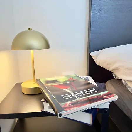 1bdr Dazzling Only 8 Min To Wenceslas Square Apartment