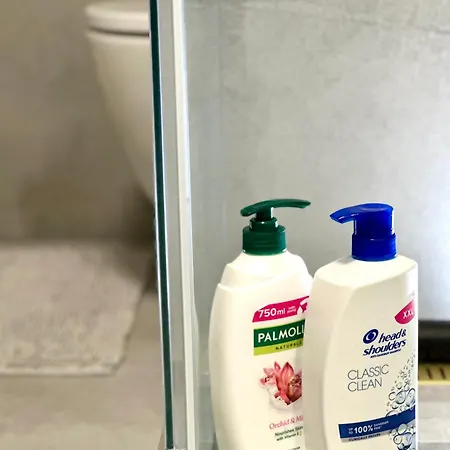 1bdr Dazzling Only 8 Min To Wenceslas Square *