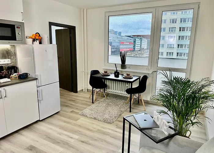 1bdr Dazzling Only 8 Min To Wenceslas Square Lejlighed Prag