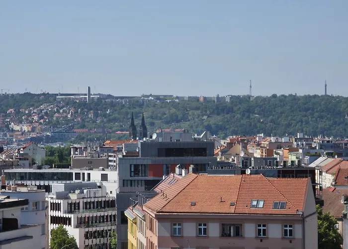 1bdr Dazzling Only 8 Min To Wenceslas Square